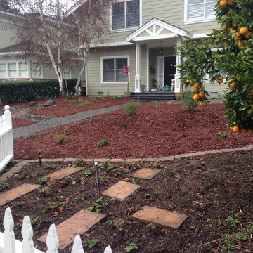 Los Gatos Native Garden with Dry Creek