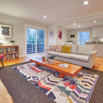 Mid Century Modern Split Level