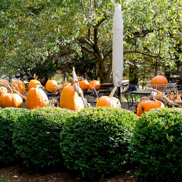 Houzz TV: Take a Leaf-Peeping Road Trip in New England