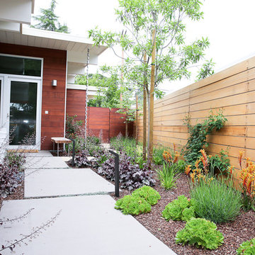 Palo Alto Eichler