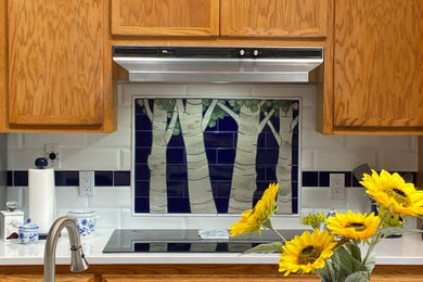 Example of a kitchen design in Albuquerque