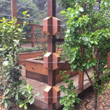 Vegetable Garden