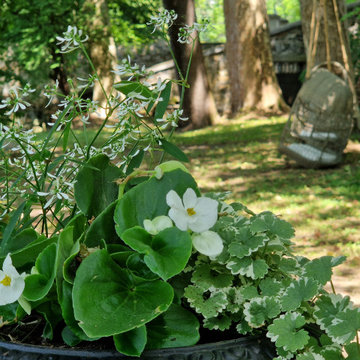 Une pause au jardin