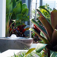 WATER FEATURES