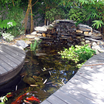 Ponds