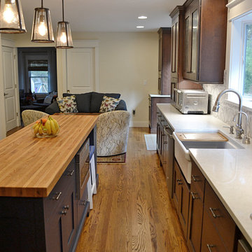 Modern Craftsman Kitchen Remodel