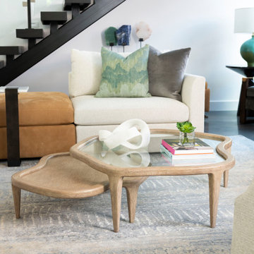 Preston Hollow Modern Minimalist Furnishing