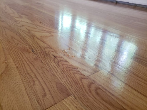 Floor Refinish Fail, Can T Afford To Refinish Hardwood Floors