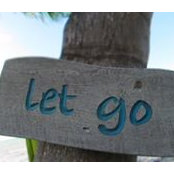 Shelley McGrew's photo