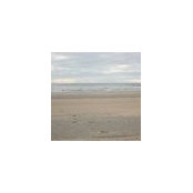 Simona Burghelea's photo