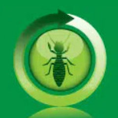 Biotech Termite & Pest