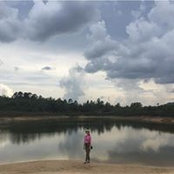 AR M's photo