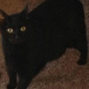 Dianne Irey's photo