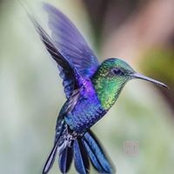 Sunshine Rockhill's photo