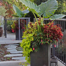 planters