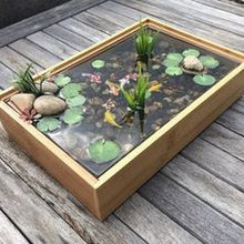 Backyard pond