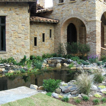 Koi Pond Pre Growth