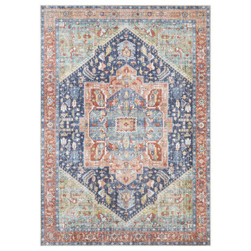 Exira Updated Traditional Persian 6'7" x 9' Area Rug
