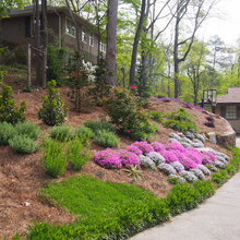 Logan Front Yard