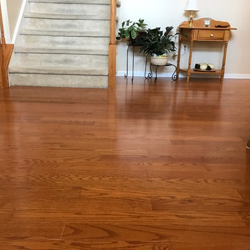 Engineered Hardwood Floors