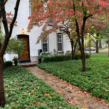 505 Landscaping & Patio