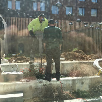 Demo