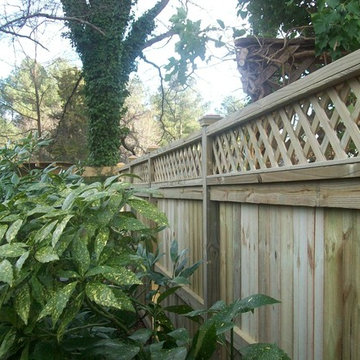 Our Work