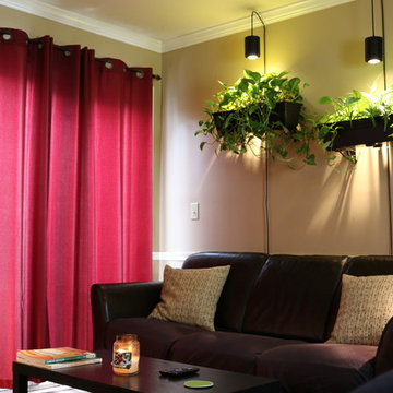 Breathe Easier in your Apartment