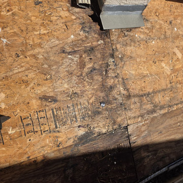 Santa Ana Roofing