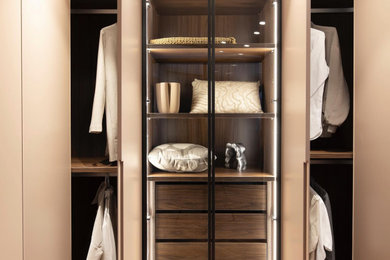 Diseño de armario vestidor de mujer minimalista de tamaño medio con armarios con paneles lisos y puertas de armario de madera oscura