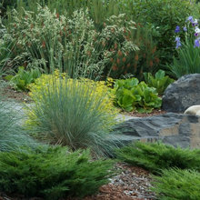 Garden ideas