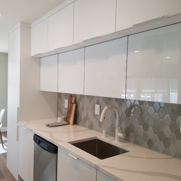 Queen Anne, Seattle -Condo Renovation