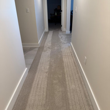 Mold Restoration