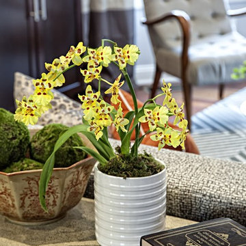 Barrington Home