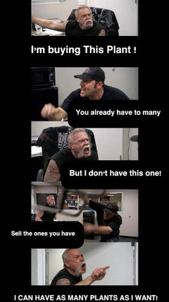 This Post Is Dedicated To Memes