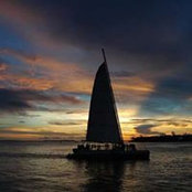Gina Hamilton's photo
