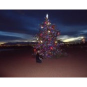 Selanie Iorg's photo