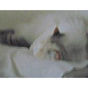 Laura Waesche's photo