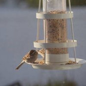 Airen Alves's photo