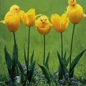 Cheri Legaard's photo