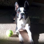 Tammy Ellens's photo