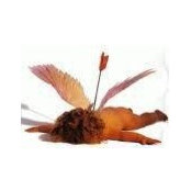 Joanne Birkmann's photo