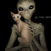 Manap Koolman's photo