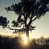 Deb Faust's photo