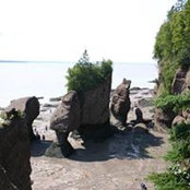 Gregory Younis's photo