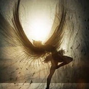 Imani Brown's photo