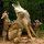 webuser_9632984