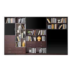 Contemporary Bookshelf - Bookcases