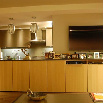 Modern kitchen and living room, New York, NY