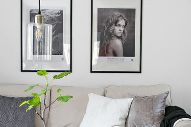 Inspiration för minimalistiska vardagsrum